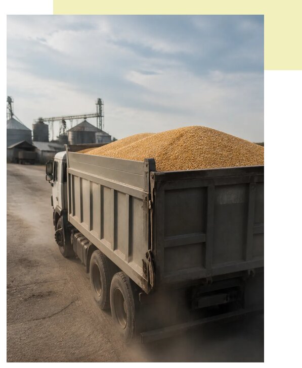 Перевозка сельхозпродукции навалом в Сафоново по цене от 3074 р. | Агросервис-Сфн